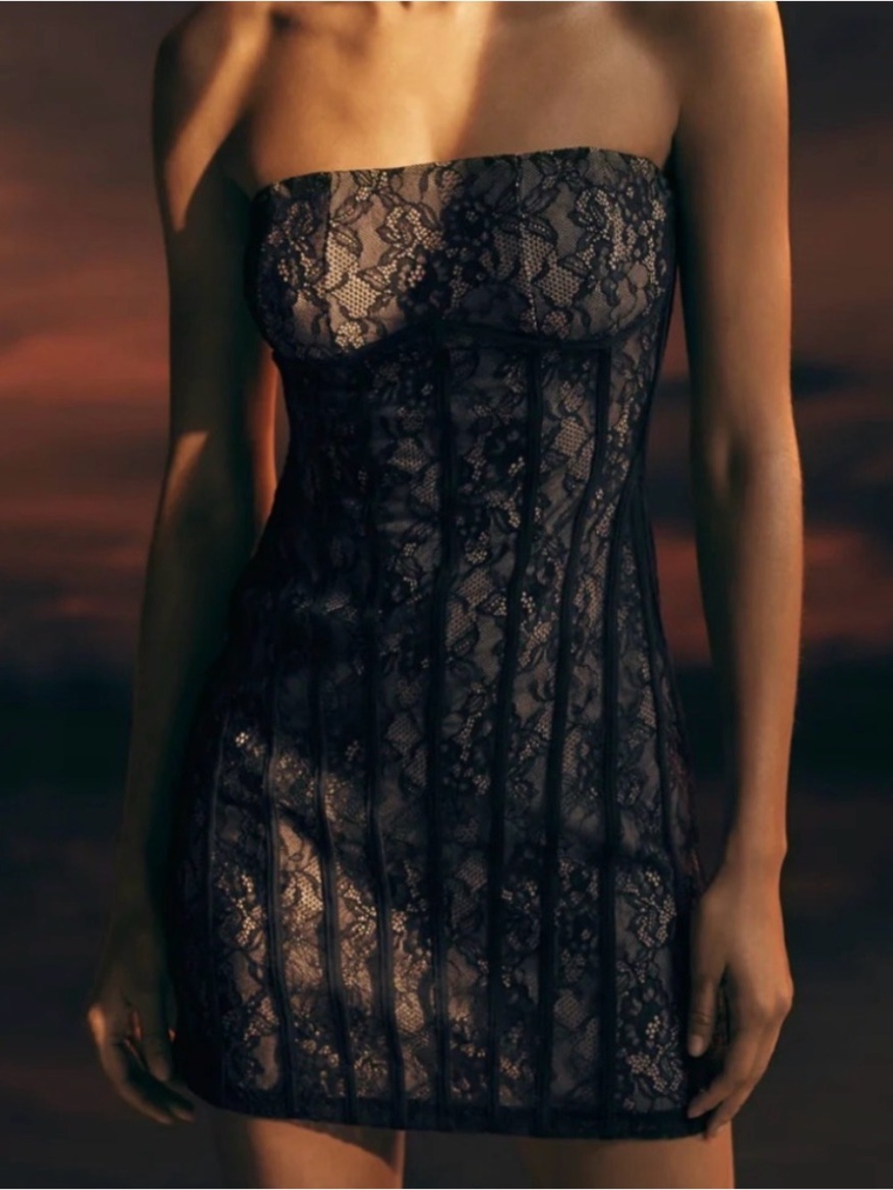 Meshki Strapless Jeannette Mini Lace dress